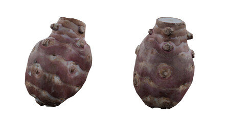 artichoke isolated on white