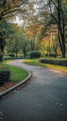 Fototapeta premium Serene Curved Pathway Surrounded by Vibrant Green Trees and Foliage