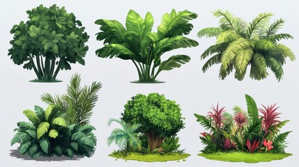 Collection of Lush Tropical Plants and Foliage for Nature Designs