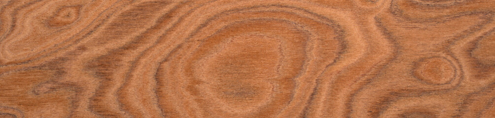 Elm burl veneer surface with a mesmerizing array of cinnamon swirls and deep amber accents