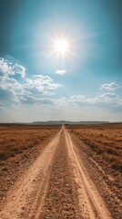 Fototapeta premium Sunlit Road Through Arid Landscape Under Bright Blue Sky