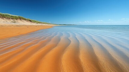 Fototapeta premium Orange sand beach, calm ocean, dunes, summer. Coastal landscape, travel poster