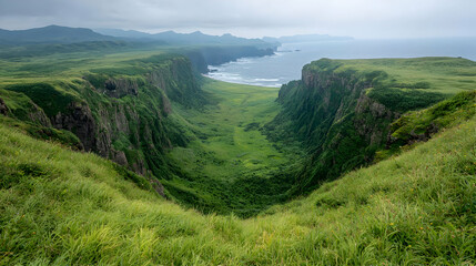 Fototapeta premium Lush green valley between cliffs, ocean view, cloudy day, nature landscape