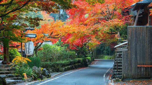 Kibune (Kifune) Suburban Road with Colorful Autumn Scenario in Kyoto, Japan