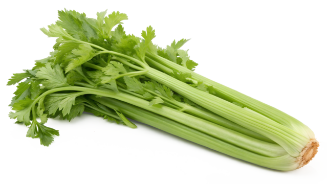 Bunch of celery isolated on transparent background