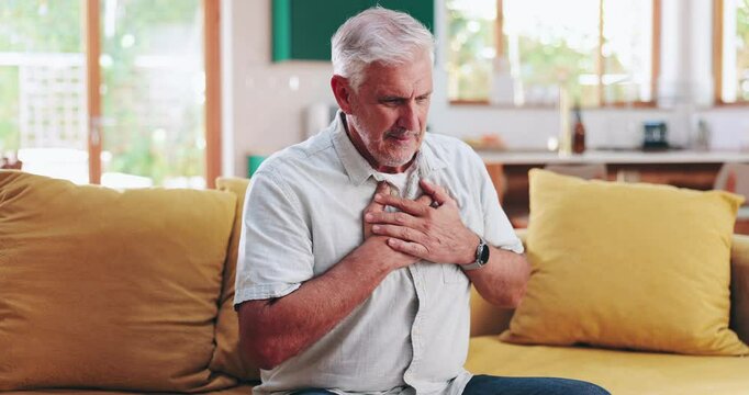 Elderly man, chest pain and stress on sofa with discomfort, heartburn or shortness of breath. Senior person, angina warning or asthma symptoms in home with massage, hypertension or worry for health