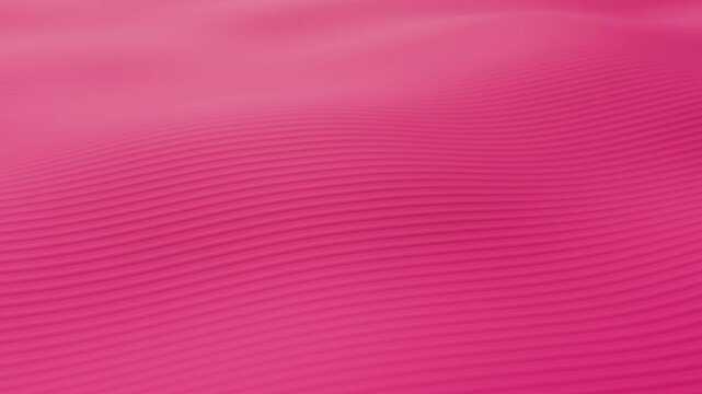 Abstract Wavy Rose Wallpaper with ribbed texture. Looped animation in Ultra HD 4K. Modern Style Design of Splash screen for Phone or Web Site. You easy may change color to Pink, Magenta, Punch shades.