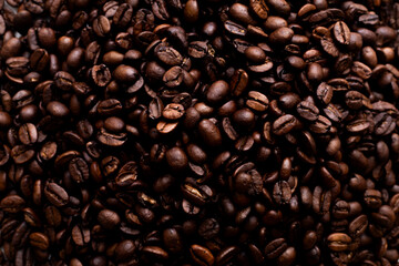 coffee beans close up photo