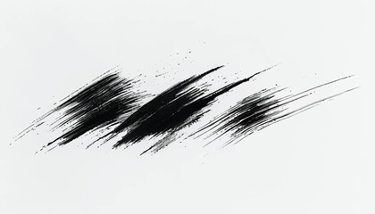 Monochrome texture. Abstract hand drawn brush strokes. Black Brush stroke on white background. Brush stroke and texture.