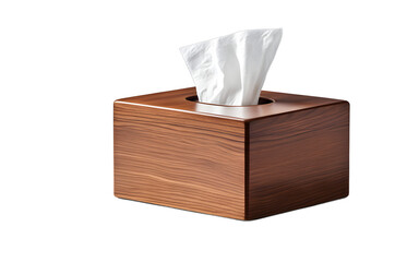 A minimalist wooden tissue box holder on a empty plain background