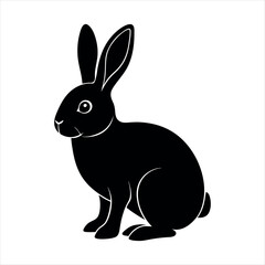 vector illustration of a rabbit with white background