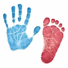 hand and footprint with white background