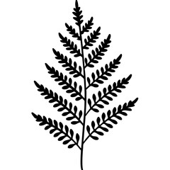 Naklejka premium Artistic Fern Leaf Outlines in Vector