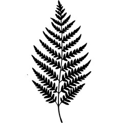 Artistic Fern Leaf Outlines in Vector