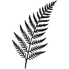 Artistic Fern Leaf Outlines in Vector