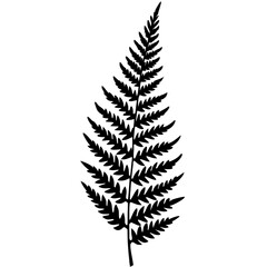 Naklejka premium Artistic Fern Leaf Outlines in Vector