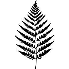 Naklejka premium Artistic Fern Leaf Outlines in Vector