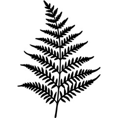 Artistic Fern Leaf Outlines in Vector