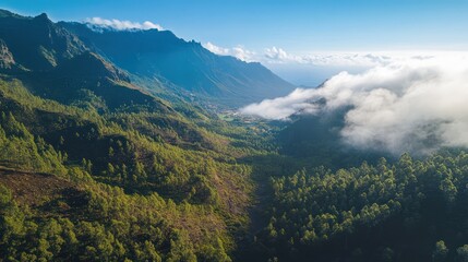 Fototapeta premium Majestic Mountain Valley shrouded in Mist: A Breathtaking Aerial View