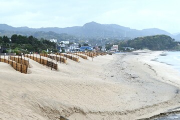 Sand fences made of bamboo installed on a sandy beach in Japan. The purpose of the sand fence is to prevent sediment on the road caused by blown sand.