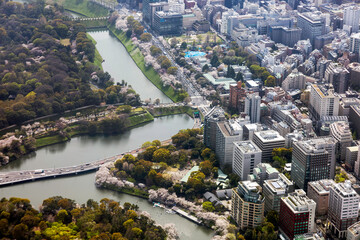 桜満開の千鳥ヶ淵付近を空撮