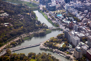 桜満開の千鳥ヶ淵付近を空撮