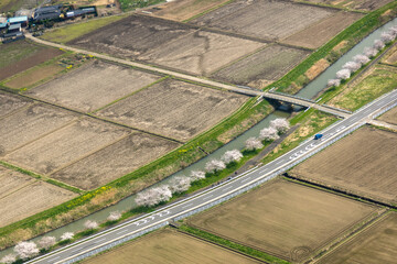 埼玉県川島腸の桜並木を空撮