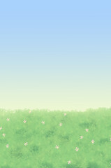field of grass and blue sky