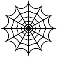 Fototapeta premium Delicate Spider Web Line Art Motifs