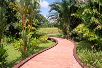 Fototapeta premium Jurong lake gardens Singapore pathways