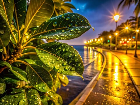Night Macro Photography: Tree-Lined Esplanade, Playa del Camison, Tenerife