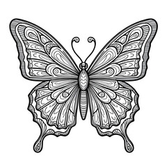 butterfly vector illustration