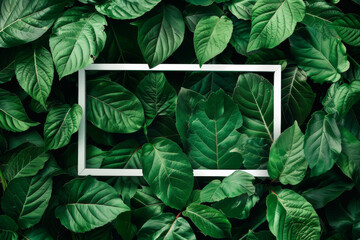Lush green leaves arranged around a white rectangular frame, creating a natural, vibrant composition with contrasting shapes.