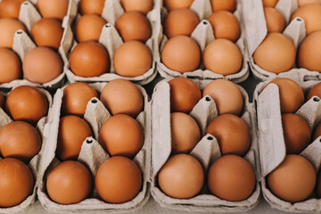 Organic Brown eggs in tray or egg box. Poultry Chicken eggs in carton for grocery or breakfast. Protein diet container in kitchen. Hen farm eggshells collected arranged packaged for sale.