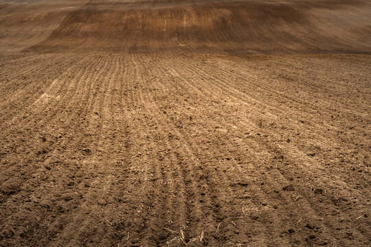 view of arable land with long rows of furrows. autumn or spring hilly cultivated agricultural field. Artistic template for presentation or creative background