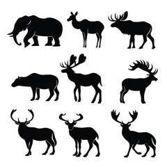 Animal Kingdom Silhouettes Wildlife Edition