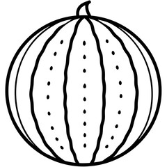 watermelon line art vector
