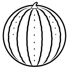 watermelon line art vector