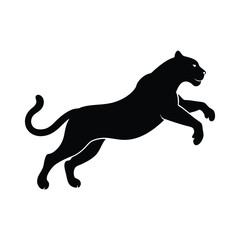 silhouette of a leopard