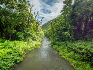 View from above towards a wild jungle river embedded within the green jungle Hawaiian landscape 