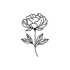 Obraz premium Vector illustration of a peony on a white background.