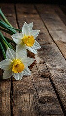 Obraz premium Fresh narcissus flowers on a wooden table, copy space available.