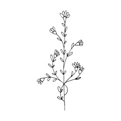 abstract  spring flower with branch