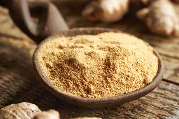 Ground ginger powder on a spoon with fresh ginger root