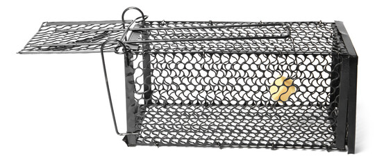 One metal mouse trap with bait isolated on white