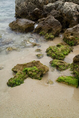 beach and rocks, Rocks and small beaches near Lazzareto. Alghero. Sardinia. Italy