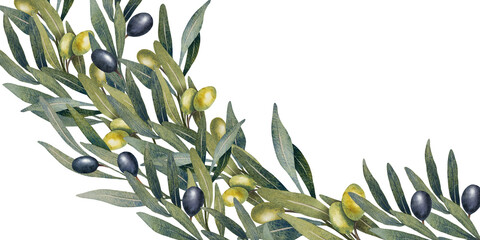 Hand drawn watercolor illustration of olive branches with green and black olives. Botanical artwork with leaves and fruits. Natural colors for packaging, textiles, invitations, prints, backgrounds