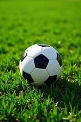 Fototapeta premium A Close-Up View of a Classic Black and White Soccer Ball Resting on a Lush Green Grass Field, Ready for the Next Exciting Match