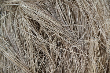 Ressources graphiques