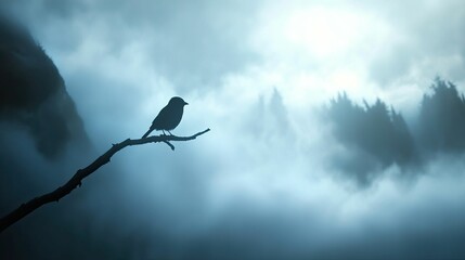 Obraz premium Silhouette bird perched branch, misty mountainscape.